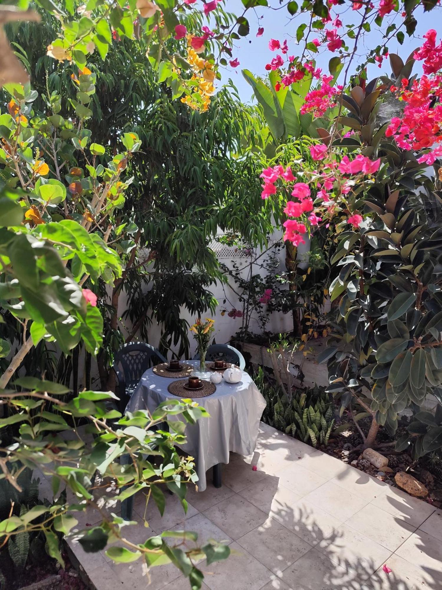 Casa Tijoco 호텔 아데제 외부 사진